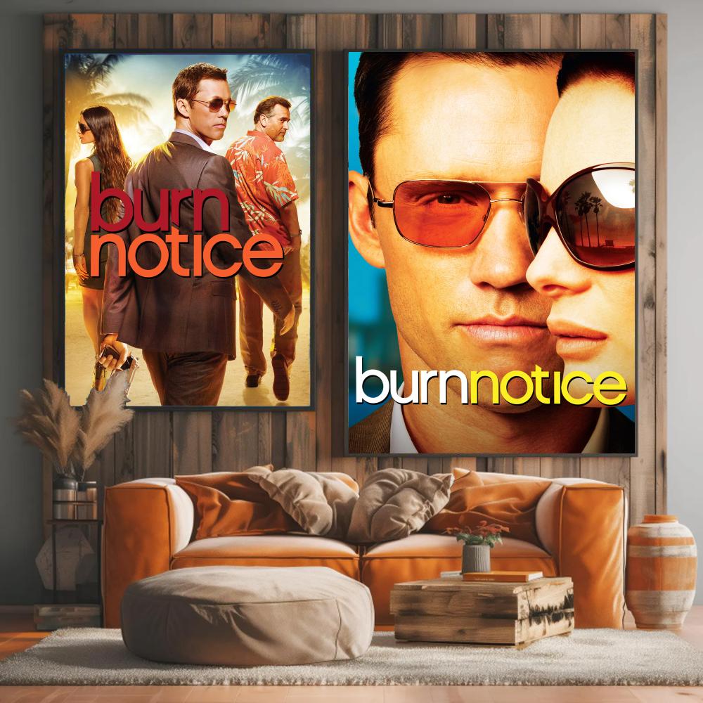TV-Serie B-Burn Notice-E Gemäl – Interior Design Tv Room Bewertung und Preis