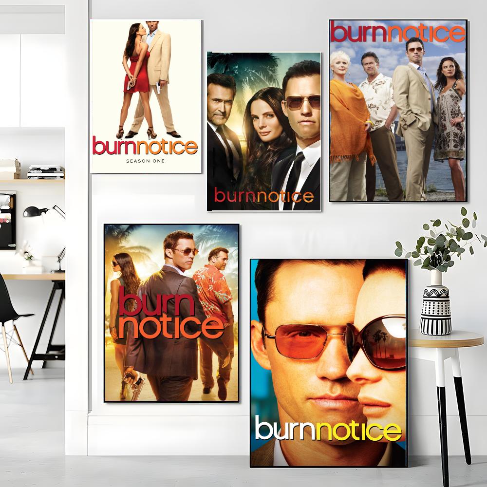 TV-Serie B-Burn Notice-E Gemäl – Interior Design Tv Room Bewertung und Preis