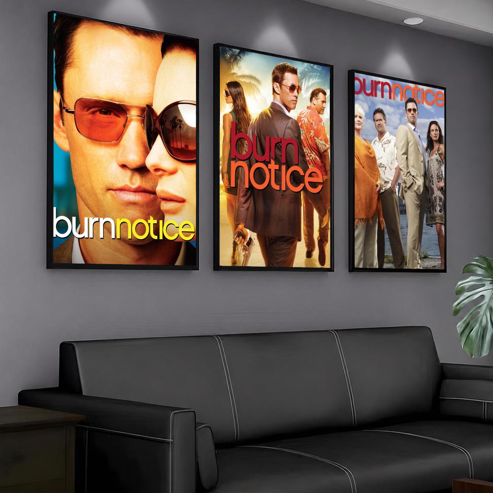 TV-Serie B-Burn Notice-E Gemäl – Interior Design Tv Room Bewertung und Preis