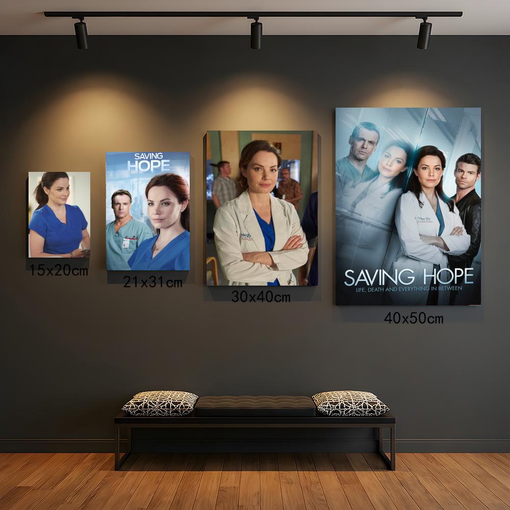 TV-Serie S-Saving Hope-E Gemäl – Interior Design Tv Room Bewertung und Preis